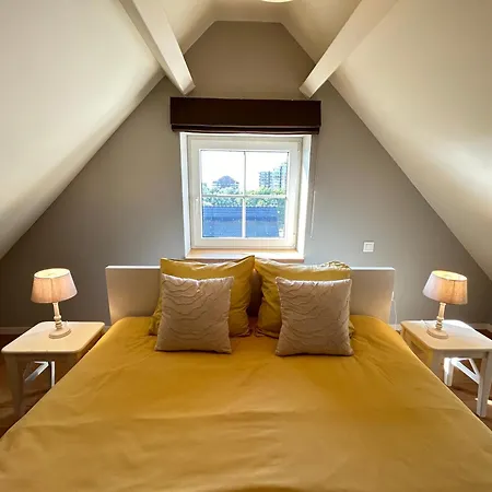 Z' Evita ניופורט