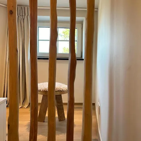 Z' Evita ניופורט