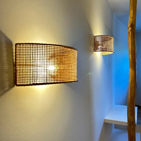 Z' Evita ניופורט