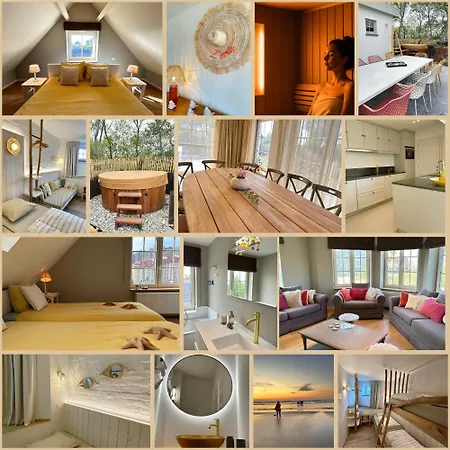 Z' Evita ניופורט